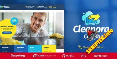 Cleanora v1.0.0 -     WordPress