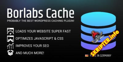 Borlabs Cache v1.5.0 -   WordPress