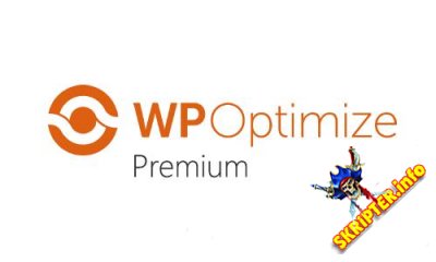 WP-Optimize Premium v2.2.13 -      WordPress