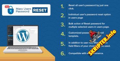 Mass Users Password Reset Pro v1.2 -      WordPress