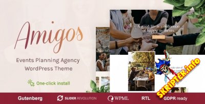 Amigos v1.0.2 - WordPress        