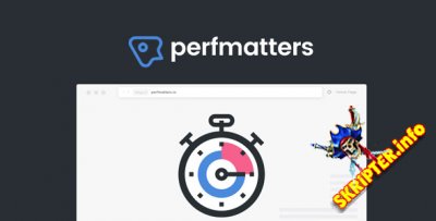 Perfmatters v1.6.4 Nulled -     WordPress