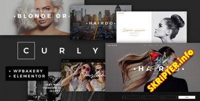 Curly v2.4 Nulled -  WordPress  