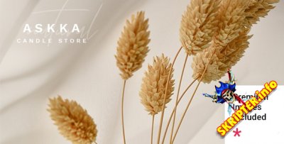 Askka v1.0 Nulled - WordPress тема для свечного магазина